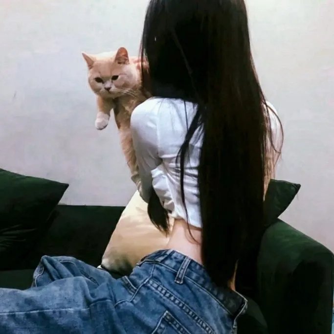 我的爱我的新娘